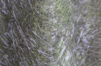 Arne fibreglass roof work